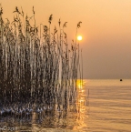 Découvrir le lac Léman en long et en large