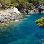 Où plonger à Port Cros ?