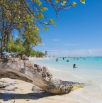 Partir au Guadeloupe cet été : ce qu'il faut savoir