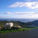 Une idée de circuit pour votre voyage en Irlande