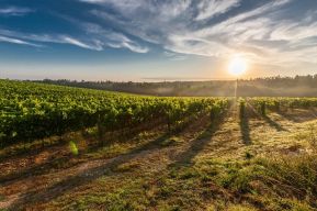 3 régions pour faire de l'oenotourisme en Italie